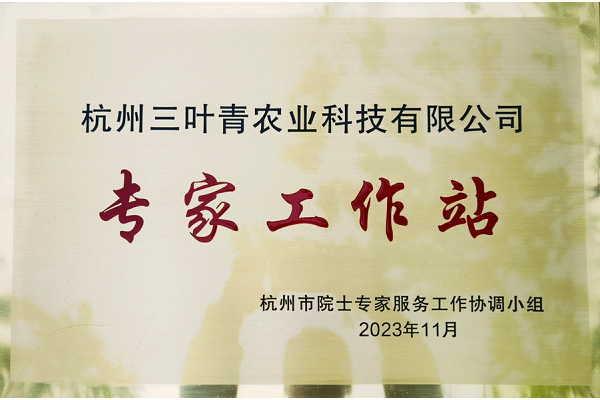专家工作站